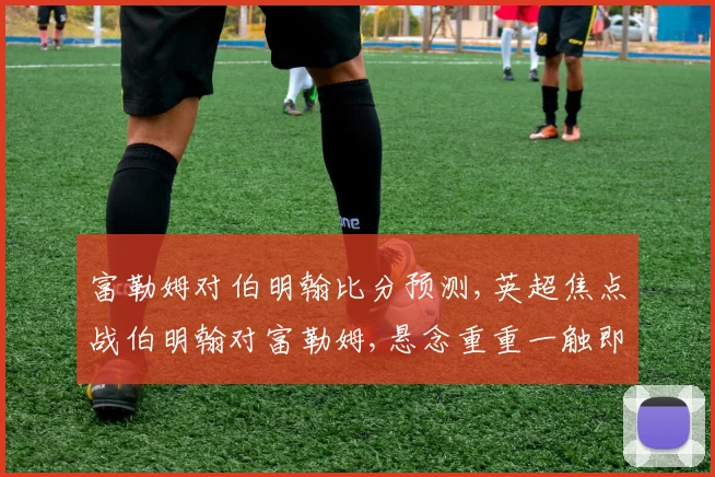 富勒姆对伯明翰比分预测,英超焦点战伯明翰对富勒姆,悬念重重一触即发