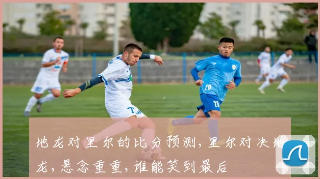 地龙对里尔的比分预测,里尔对决地龙,悬念重重,谁能笑到最后